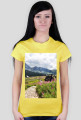 tatry
