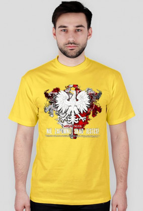 Wielka Polska
