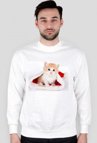 Bluza z kotkiem na święta