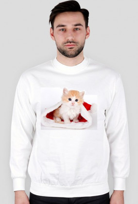Bluza z kotkiem na święta