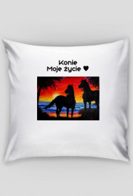 Konie , Moje życie ♥