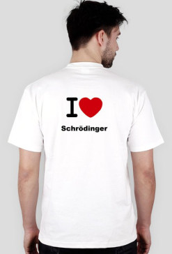 Kot Schrodingera