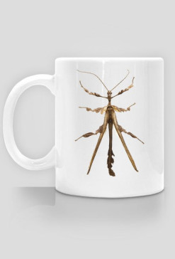 MUG 003