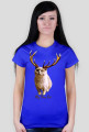Deer Cat [onlyone]