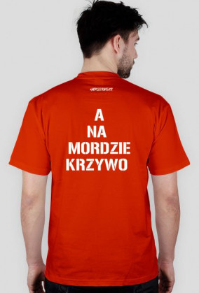 KOSZULKA "NA KOSZULCE "PROSTO" A NA MORDZIE KRZYWO"