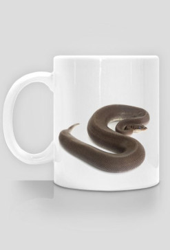 MUG 005