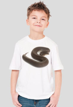 SHIRT C005