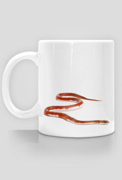 MUG 007