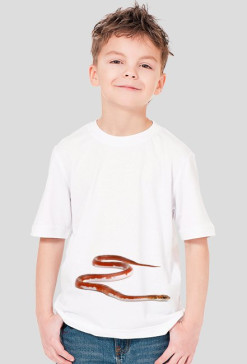 SHIRT C007