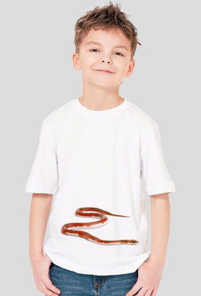 SHIRT C007