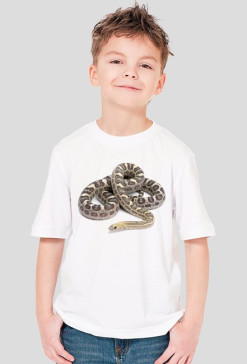 SHIRT C008