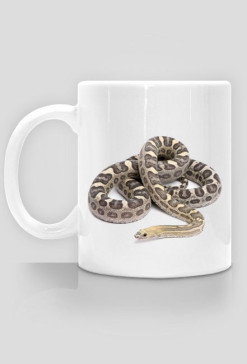 MUG 008