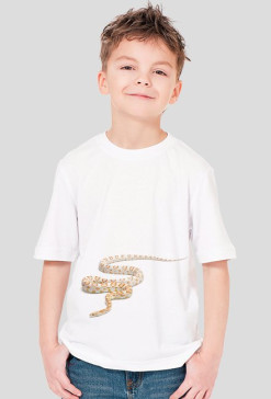 SHIRT C010