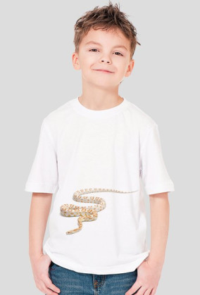 SHIRT C010