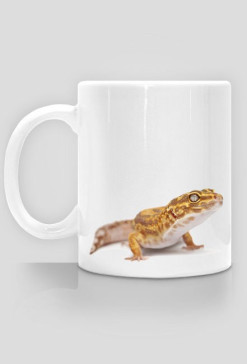 MUG 011