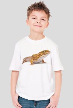SHIRT C011