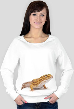 SWEATSHIRT W011