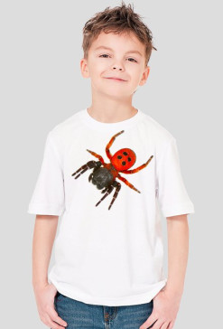 SHIRT C013