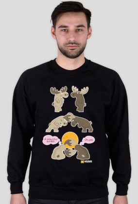 Bluza męska - Zachód słońca. Pada