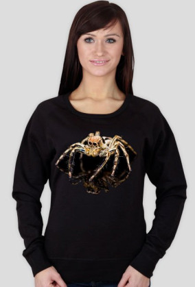SWEATSHIRT W015