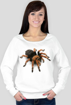 SWEATSHIRT W016