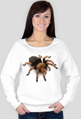 SWEATSHIRT W016