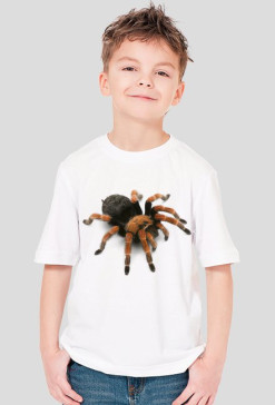 SHIRT C016