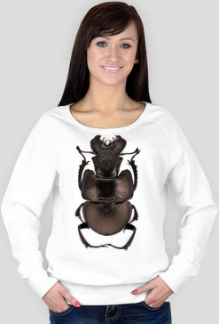SWEATSHIRT W018
