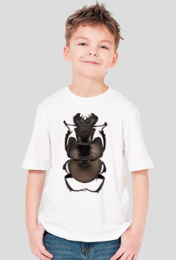 SHIRT C018