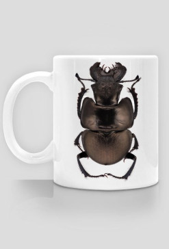 MUG 016