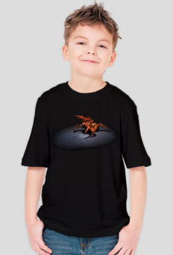 SHIRT C019
