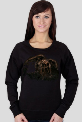 SWEATSHIRT W020