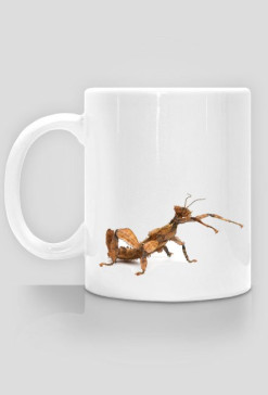 MUG 017