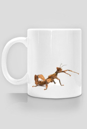 MUG 017