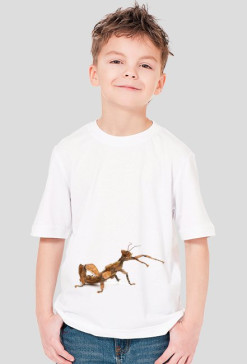 SHIRT C021