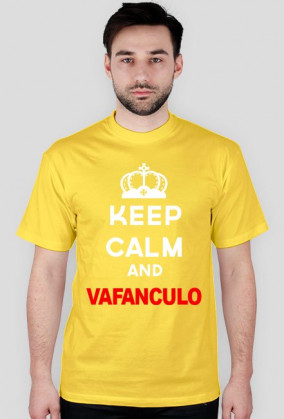 Vafanculo
