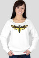 SWEATSHIRT W026