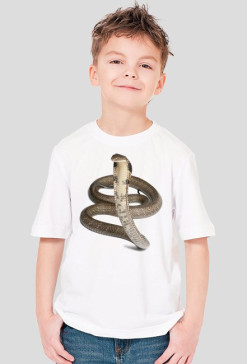 SHIRT C027