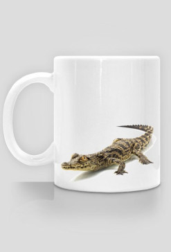 MUG 025