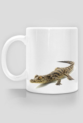 MUG 025