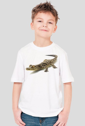 SHIRT C030