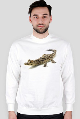 SWEATSHIRT M058
