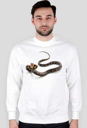 SWEATSHIRT M061