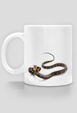 MUG 026