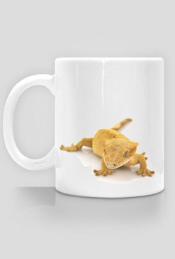 MUG 027