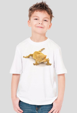 SHIRT C032
