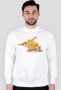 SWEATSHIRT M062