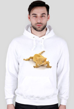 SWEATSHIRT M063