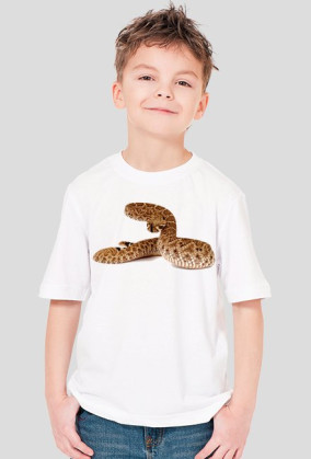 SHIRT C033