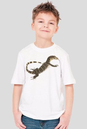 SHIRT C034